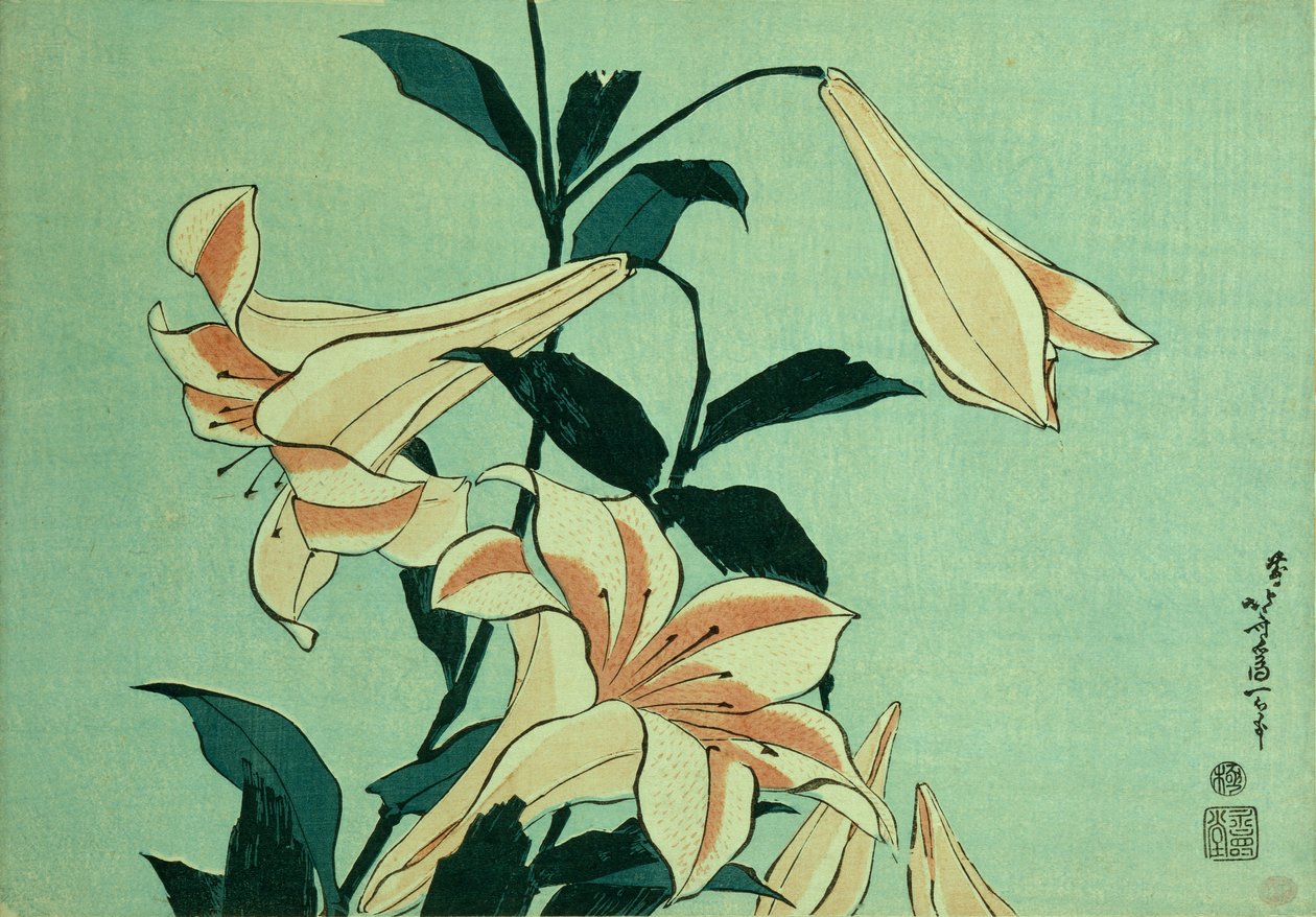 Lilie trąbkowe (kolorowy drzeworyt) autorstwa Katsushika Hokusai