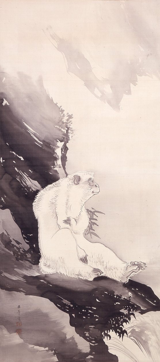 White Monkey (atrament na jedwabiu) autorstwa Kawabata Gyokushō