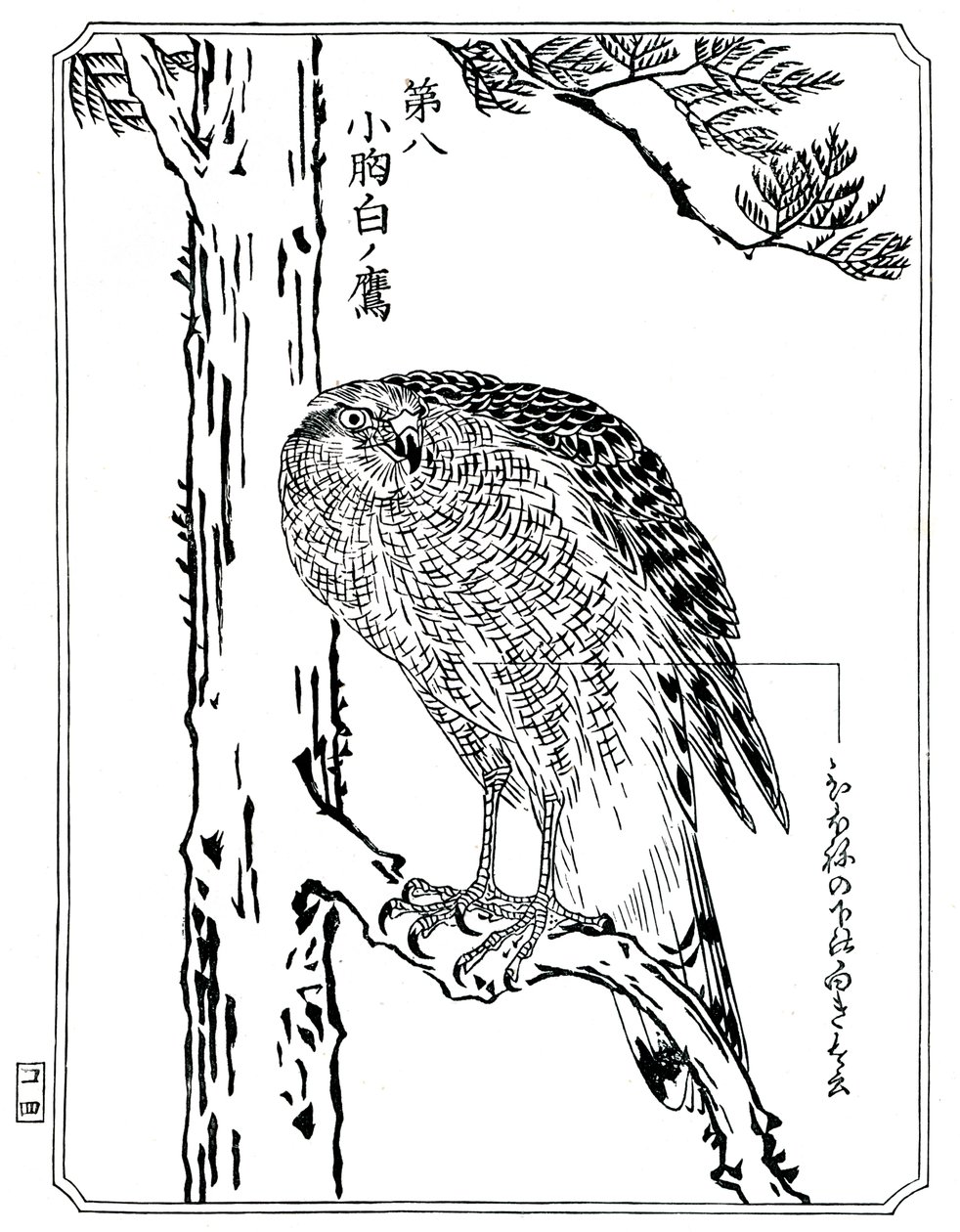 Jastrząb, 1898. autorstwa Kawanabe Kyosai