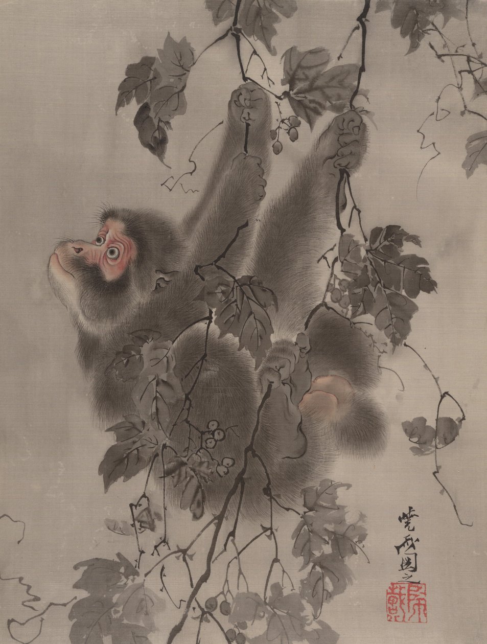 Małpa zwisająca z winorośli, ca. 1887. autorstwa Kawanabe Kyosai