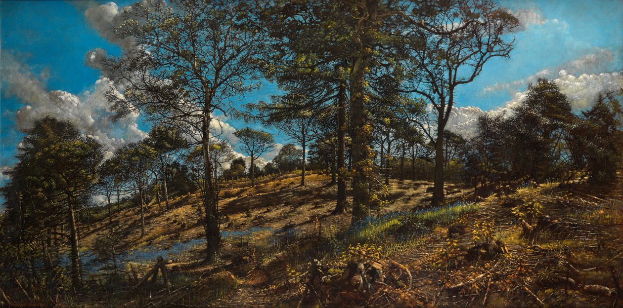 Bigbury Wood (olej na płótnie) autorstwa Kenneth Newton