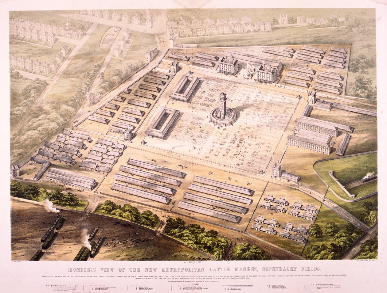 Metropolitan Cattle Market, Londyn, 1855 autorstwa King