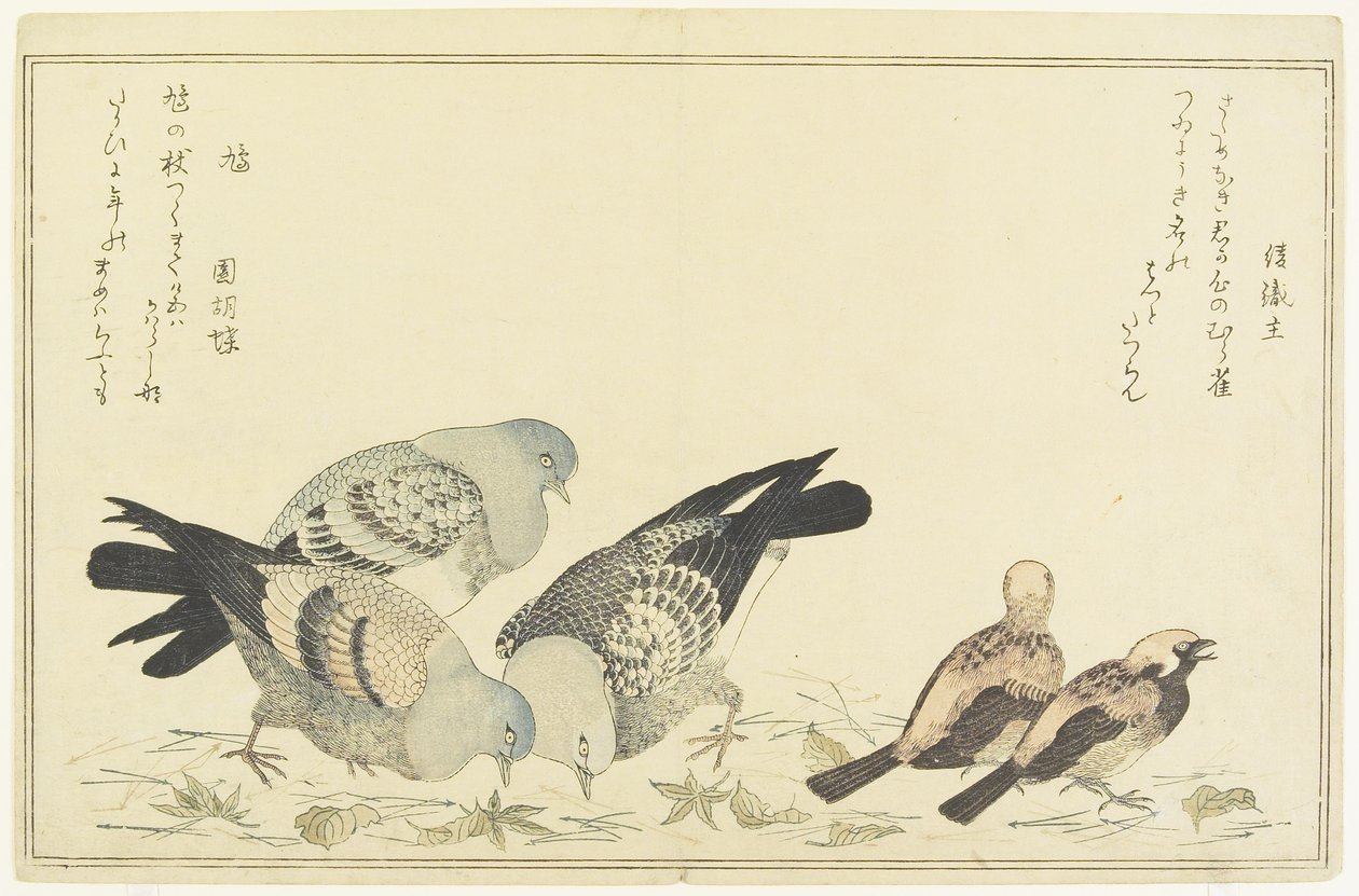 mazurek i gołąb skalny, ok. 1930 r. 1790 autorstwa Kitagawa Utamaro