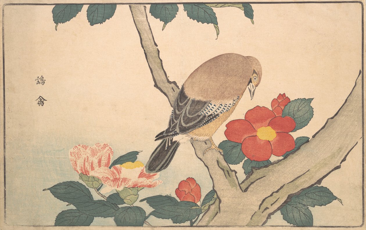Kamelie z ptakiem, 1789. autorstwa Kitao Masayoshi