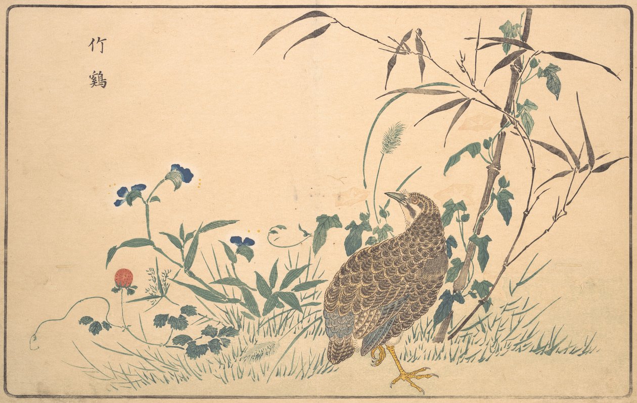 Automat Z, 1789. autorstwa Kitao Masayoshi
