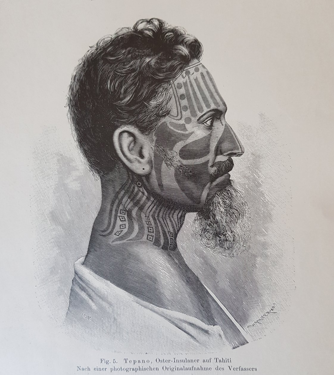 Juan Tepano, ilustracja z „O tatuowaniu wyspiarzy wielkanocnych”, Hjalmar Stolpe, 1899 autorstwa Knut Hjalmar Stolpe
