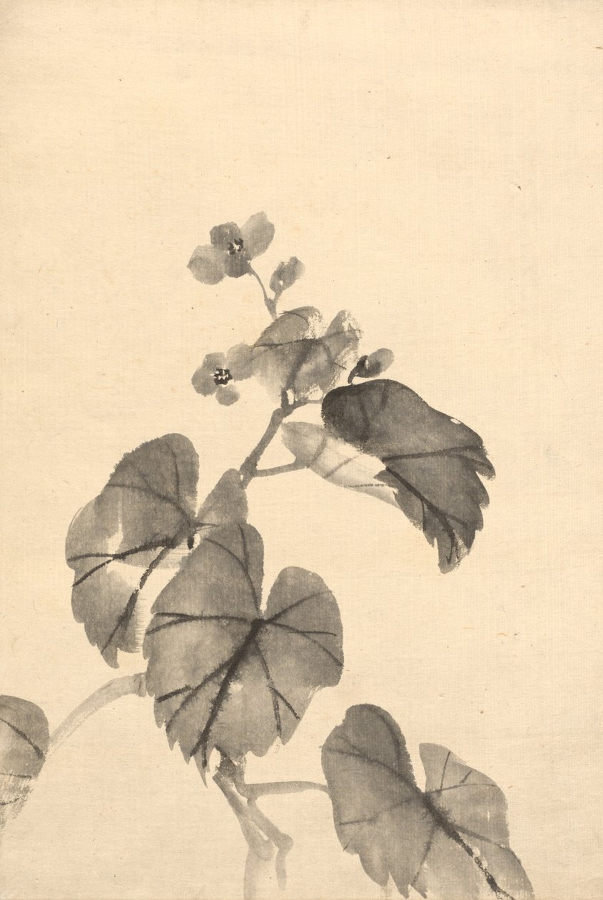 Oddział Begonia w Rozkwicie. autorstwa Kono Bairei