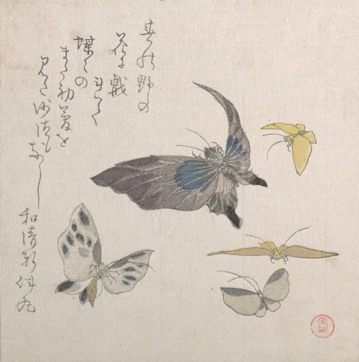 Motyle, XIX wiek. autorstwa Kubo Shunman