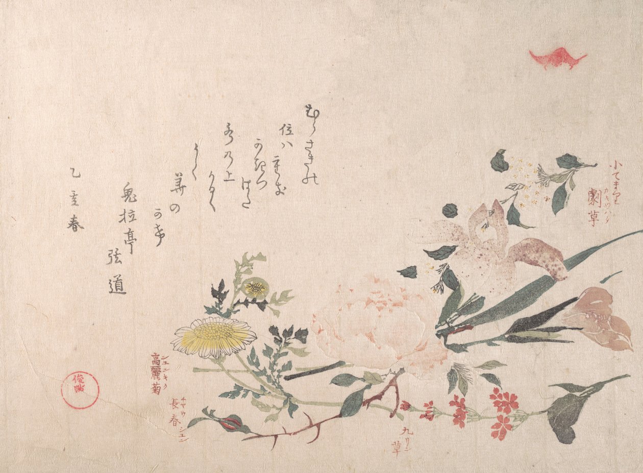 Róża, irys, pierwiosnek i stokrotka, 1815. autorstwa Kubo Shunman