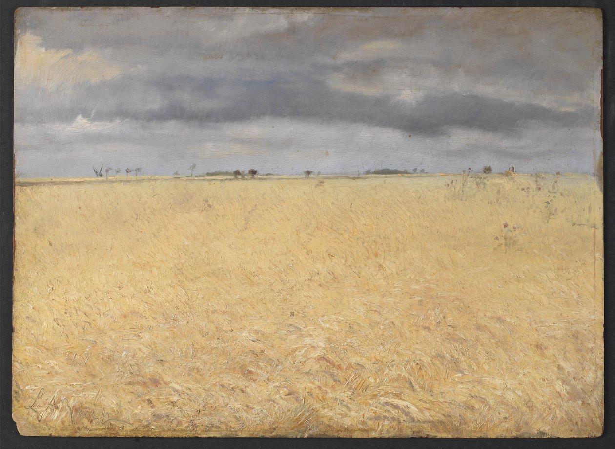 Pole żyta w pobliżu Ring Village autorstwa Laurits Andersen Ring
