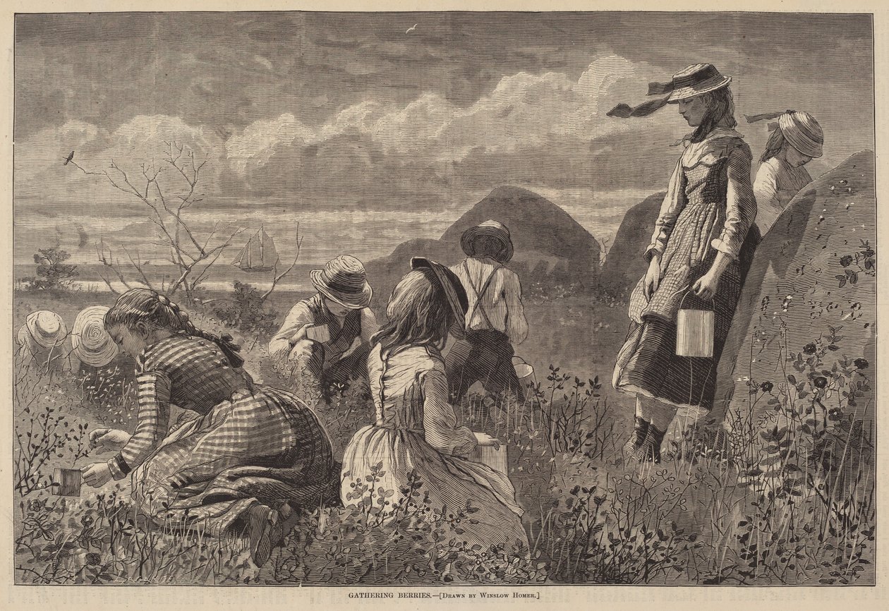 Zbieranie jagód autorstwa Lagarde after Winslow Homer