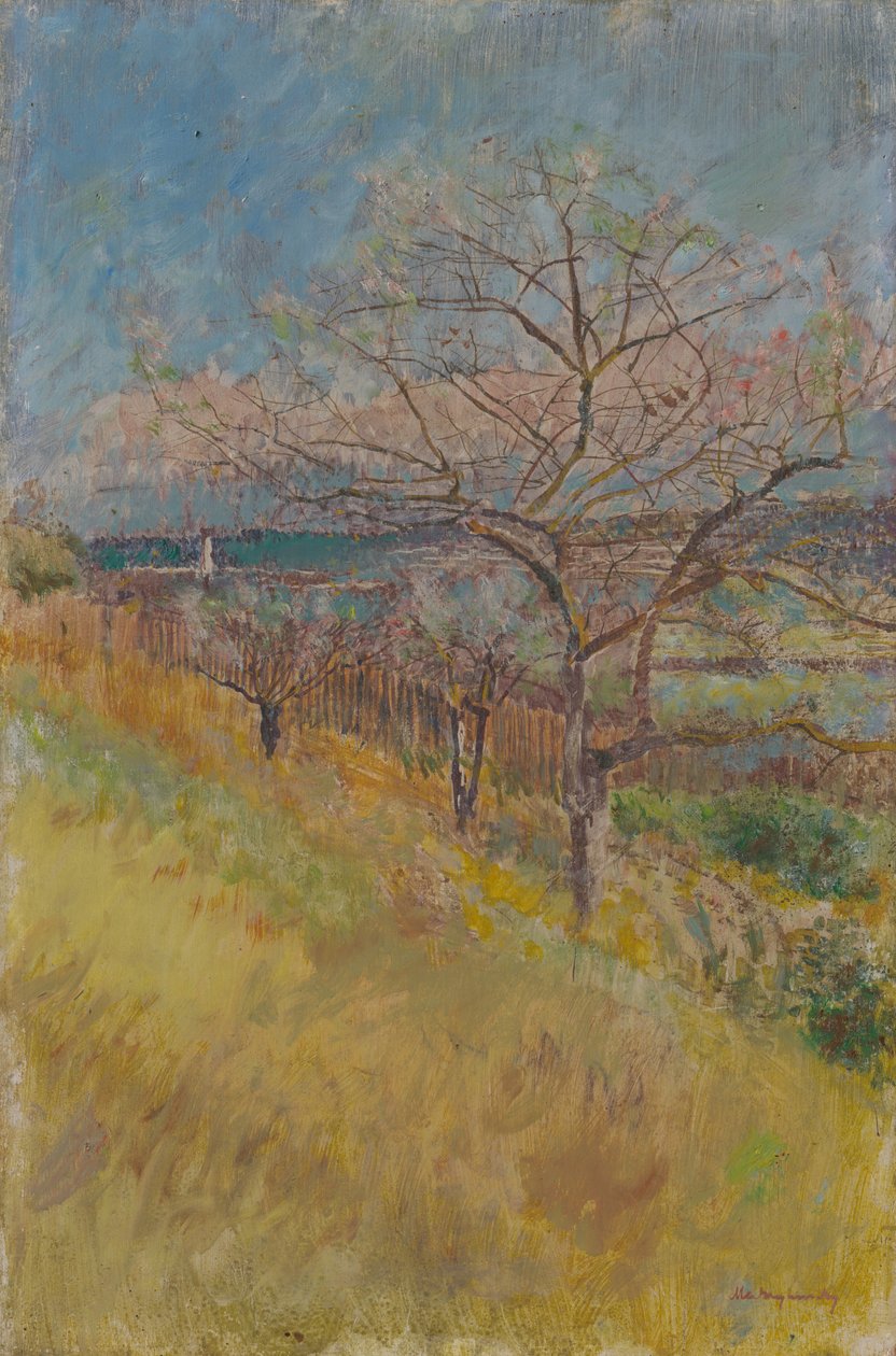 Dolina z kwitnącymi drzewami, 1890-1900 autorstwa Laszlo Mednyanszky