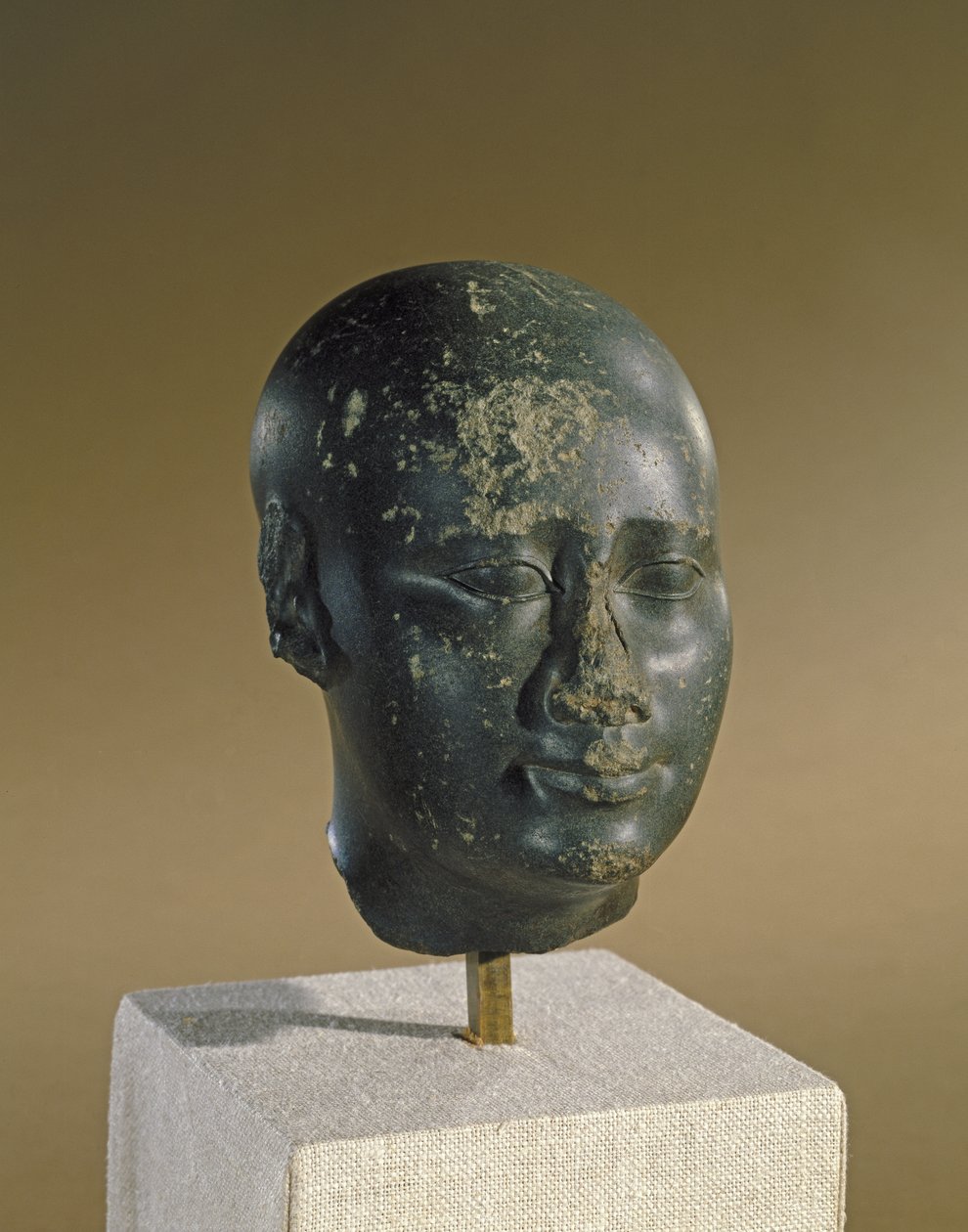 Głowa mężczyzny z owalną czaszką (bazalt) autorstwa Late Period Egyptian