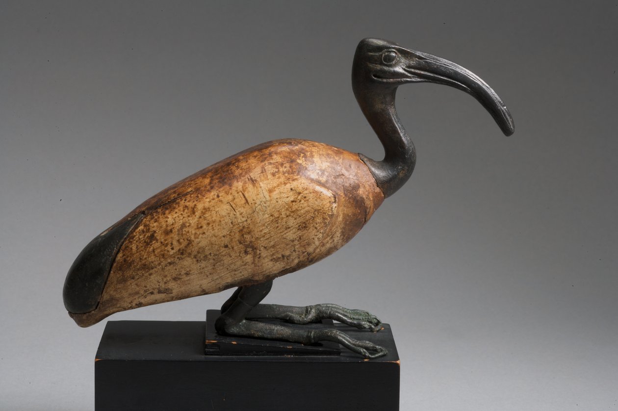 Ibis (brąz i drewno) autorstwa Late Period Egyptian