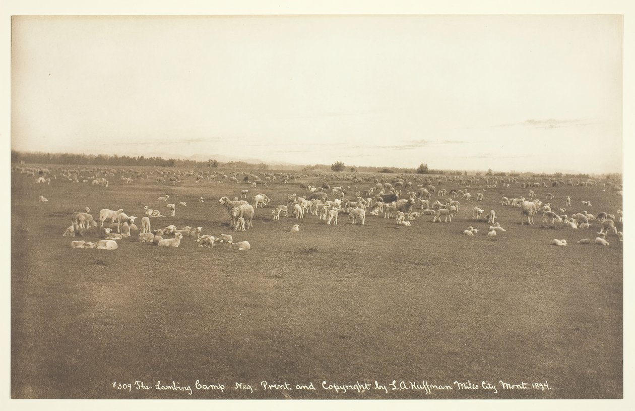 Obóz Lambing, 1894. autorstwa Laton Alton Huffman