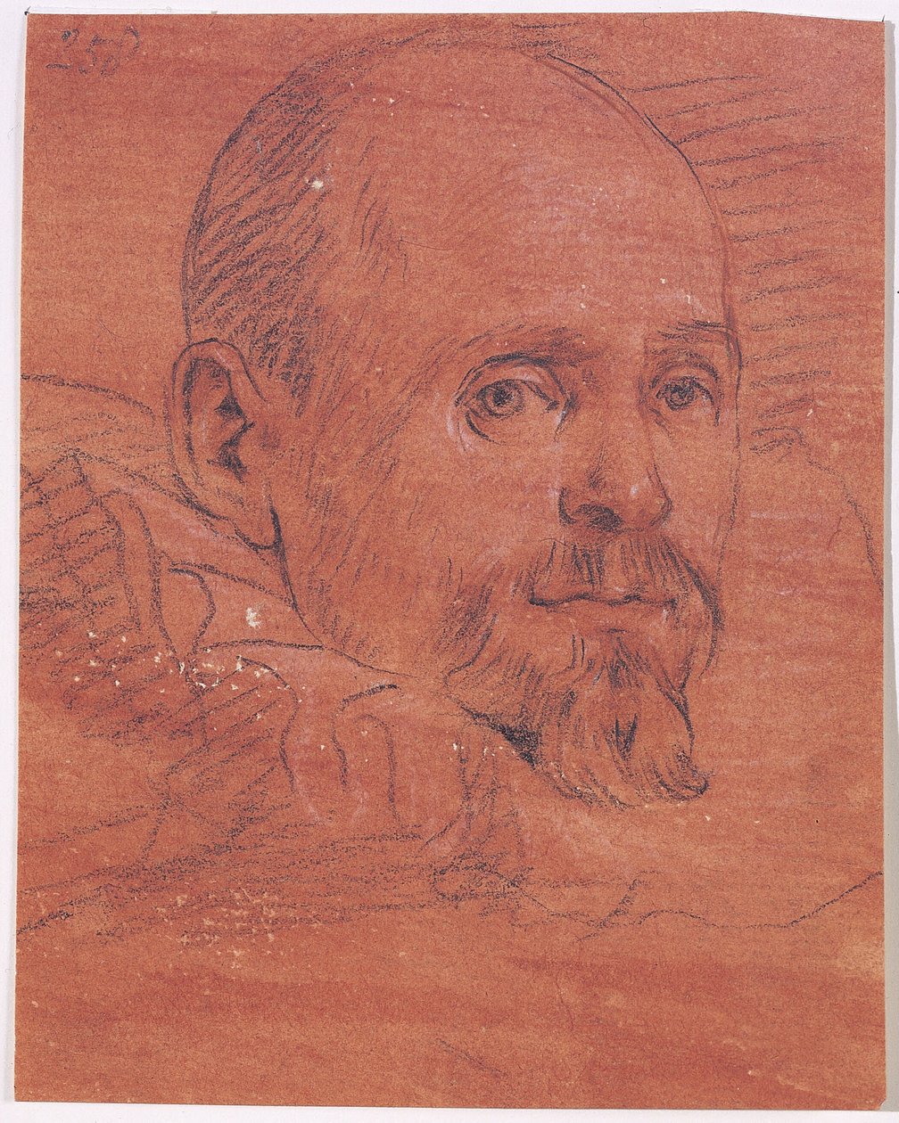 Portret męski autorstwa Lazzaro Tavarone