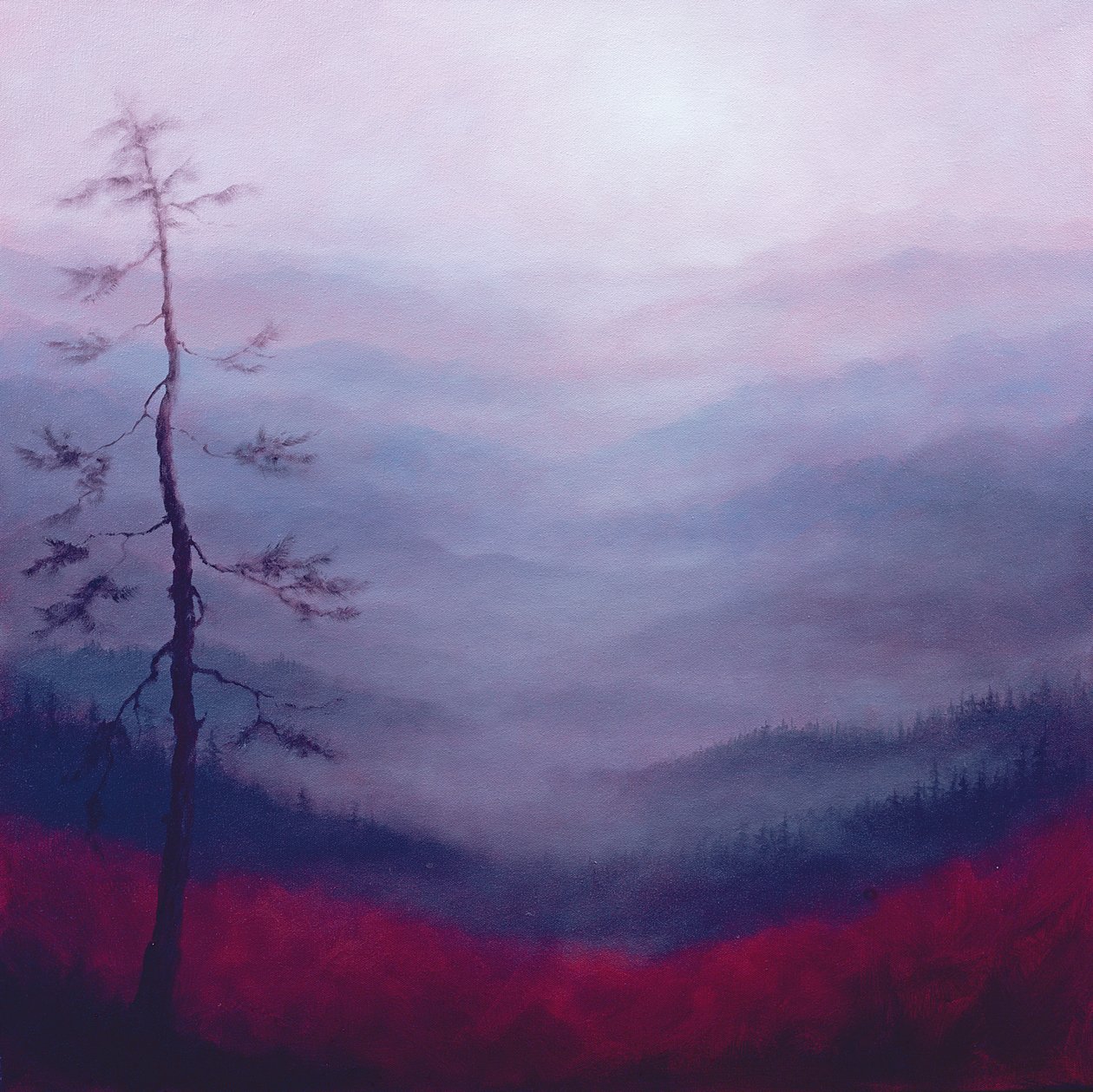 Alpejski Różowy, 2007 autorstwa Lee Campbell