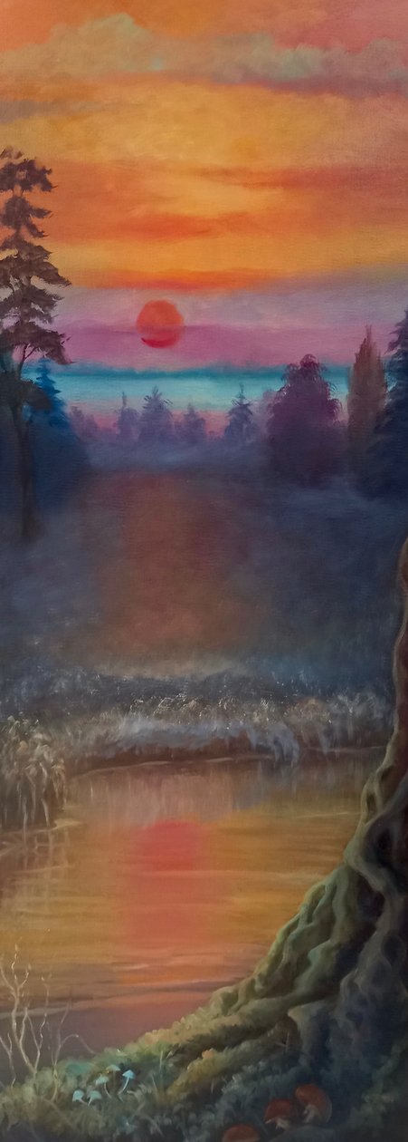 Zorza polarna, 2021 autorstwa Lee Campbell