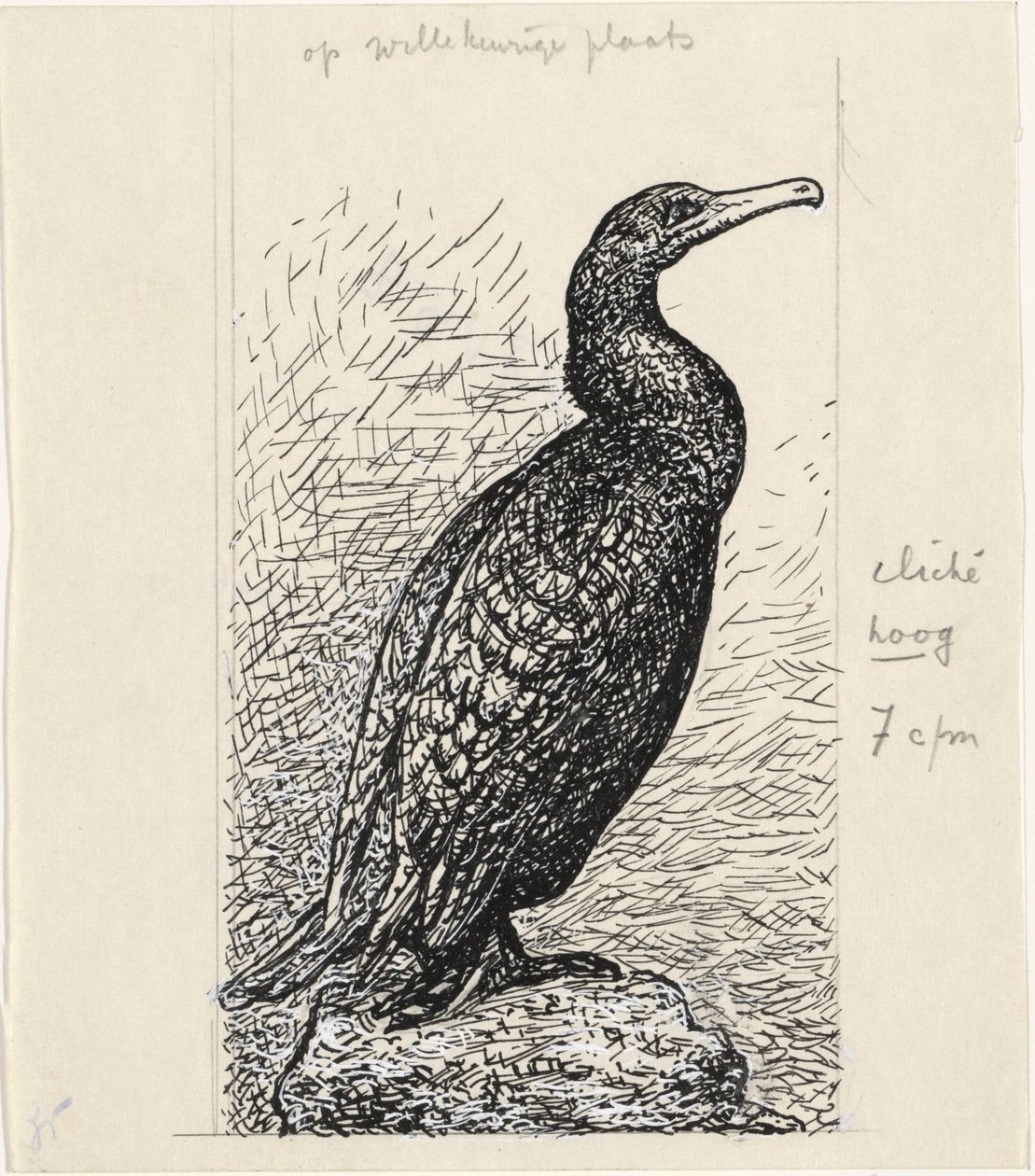 Kormoran autorstwa Leo Gestel