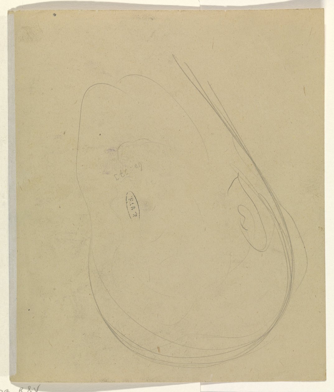 Kontury głowy autorstwa Leo Gestel