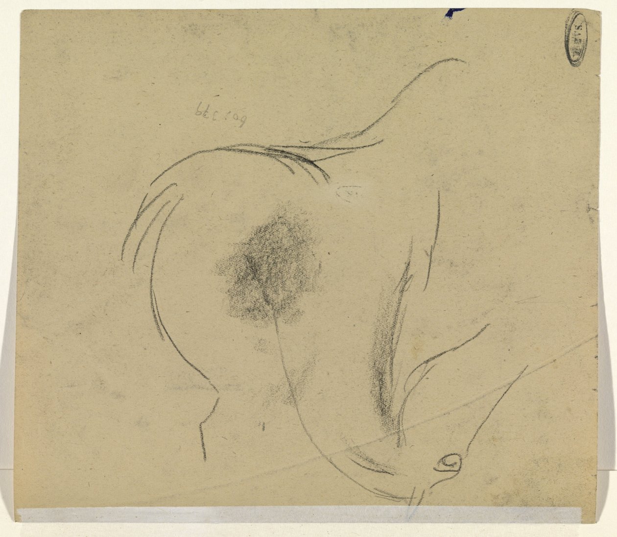 głowa konia autorstwa Leo Gestel