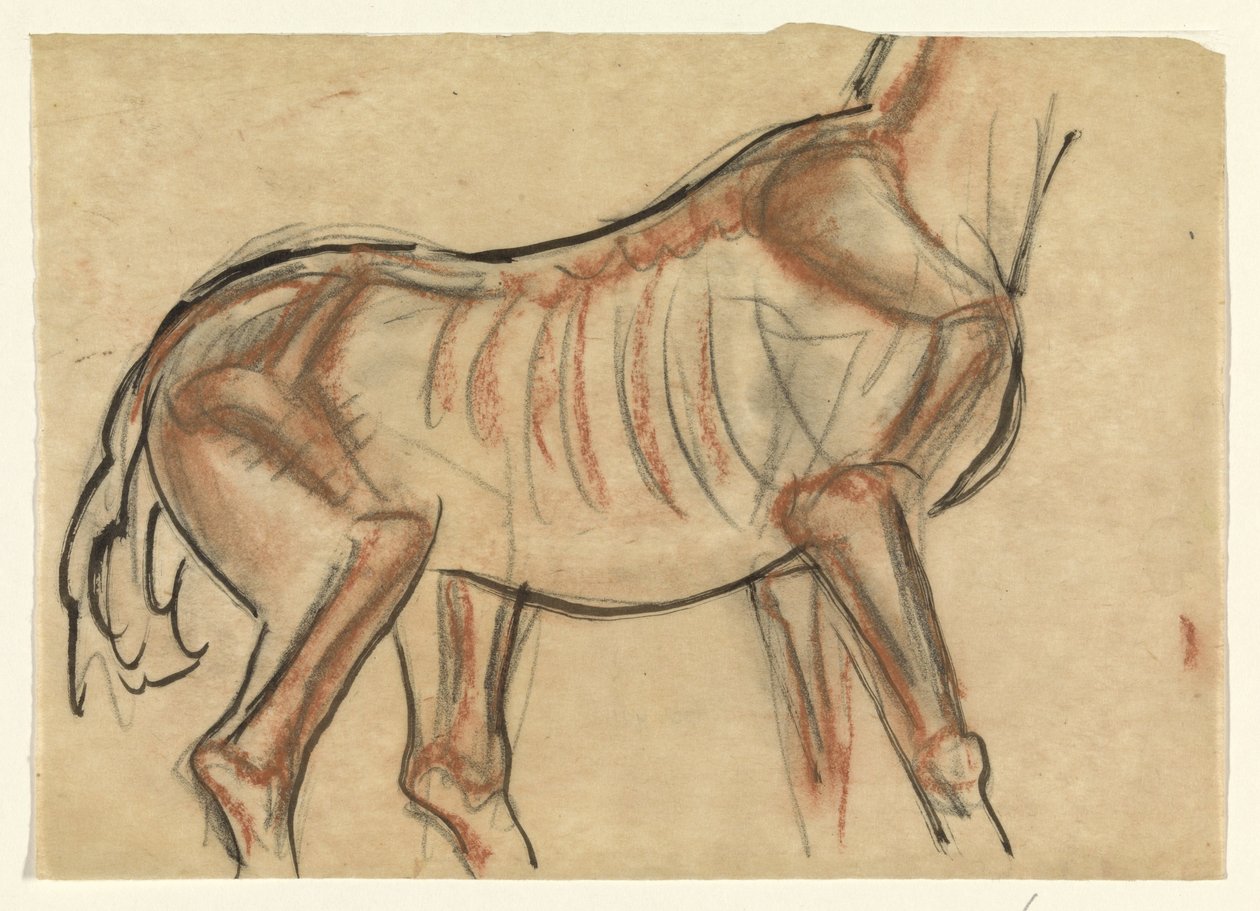 Szkielet konia autorstwa Leo Gestel