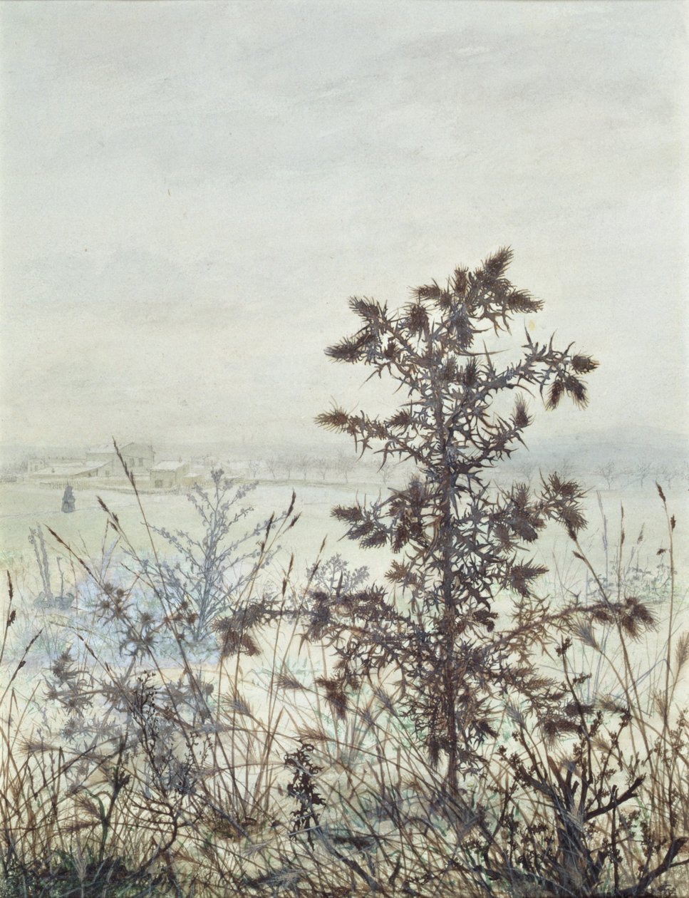 Thistles and Weeds, 1864 (toaleta, kolor nadwozia, długopis, atrament i ołówek na papierze) autorstwa Léon Bonvin