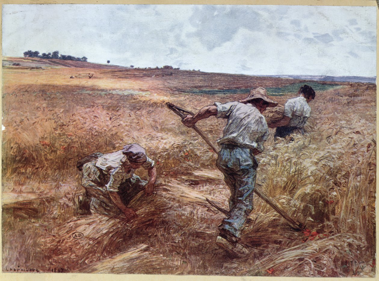 Scena zbiorów, 1897 autorstwa Leon Augustin Lhermitte