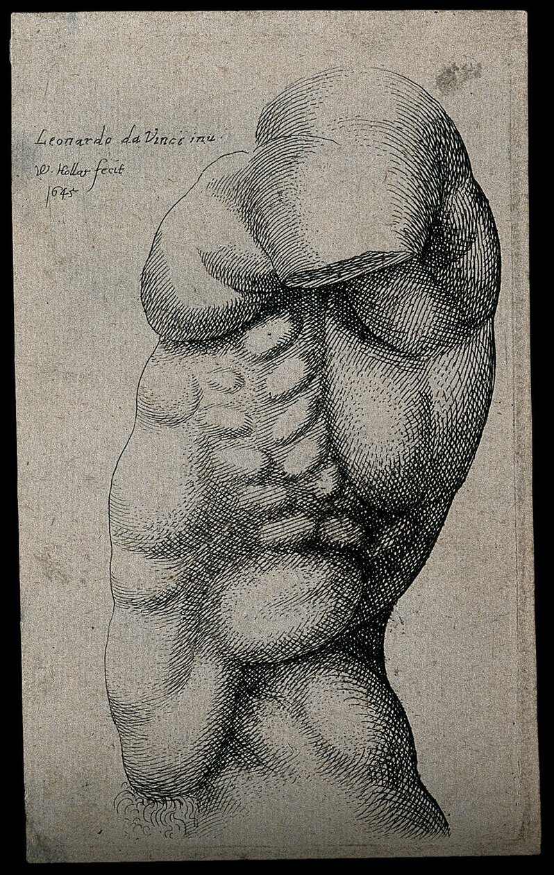 Męski tors bez ramienia autorstwa Leonardo da Vinci