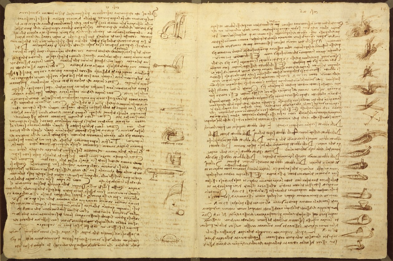 Strona z Codex Leicester, 1508-12 (tusz sepia na papierze lnianym) autorstwa Leonardo da Vinci
