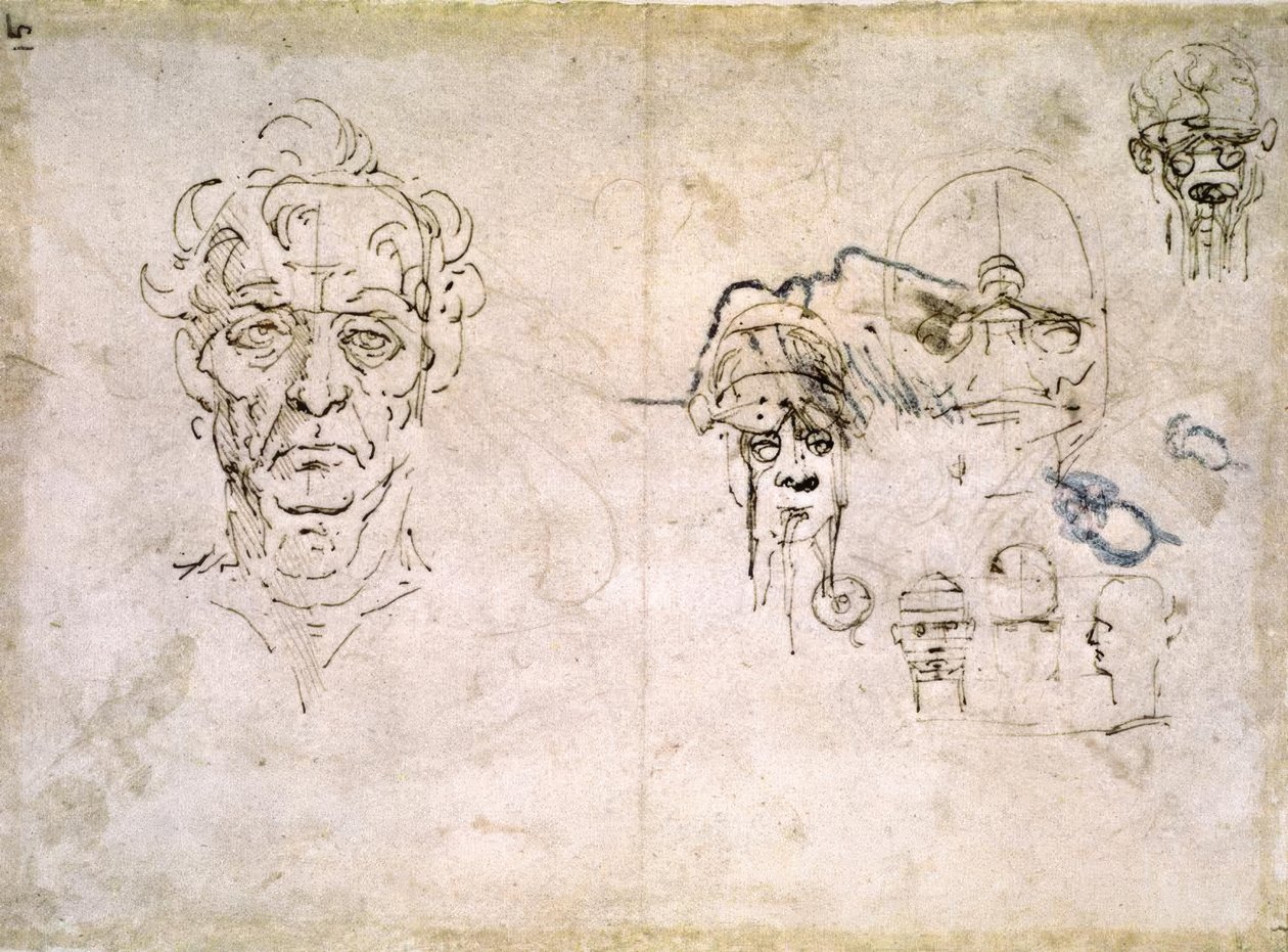 Anatomiastudia autorstwa Leonardo da Vinci