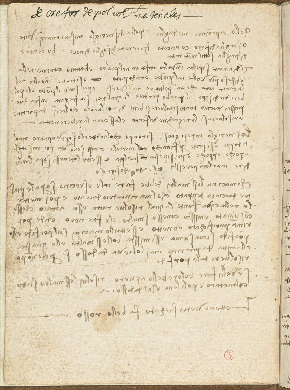 د الوتونکو الوتنې کوډ، ج. 1505-06، د کاغذ نسخه، cc. 18، پوښ IIpoli autorstwa Leonardo da Vinci
