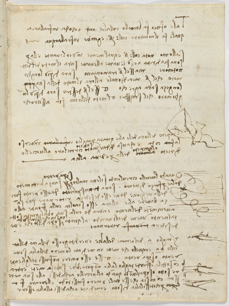 د الوتونکو الوتنې کوډ، ج. 1505-06، د کاغذ نسخه، cc. 18، پاڼه 10 rectopoli autorstwa Leonardo da Vinci