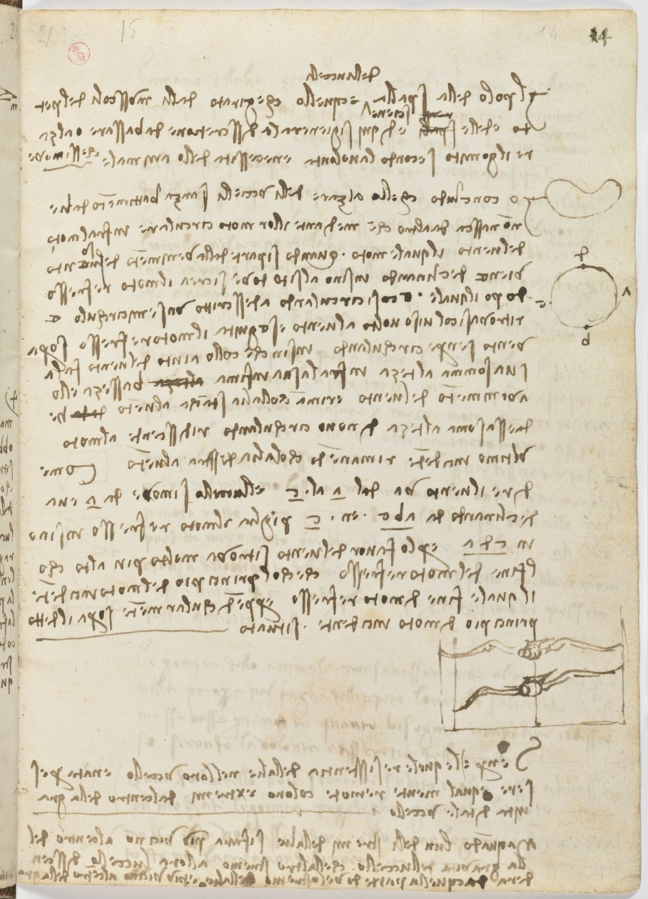 Kodeks lotów ptaków, ok. 1505-06, rękopis papierowy, k. 18, arkusz 14 recto autorstwa Leonardo da Vinci
