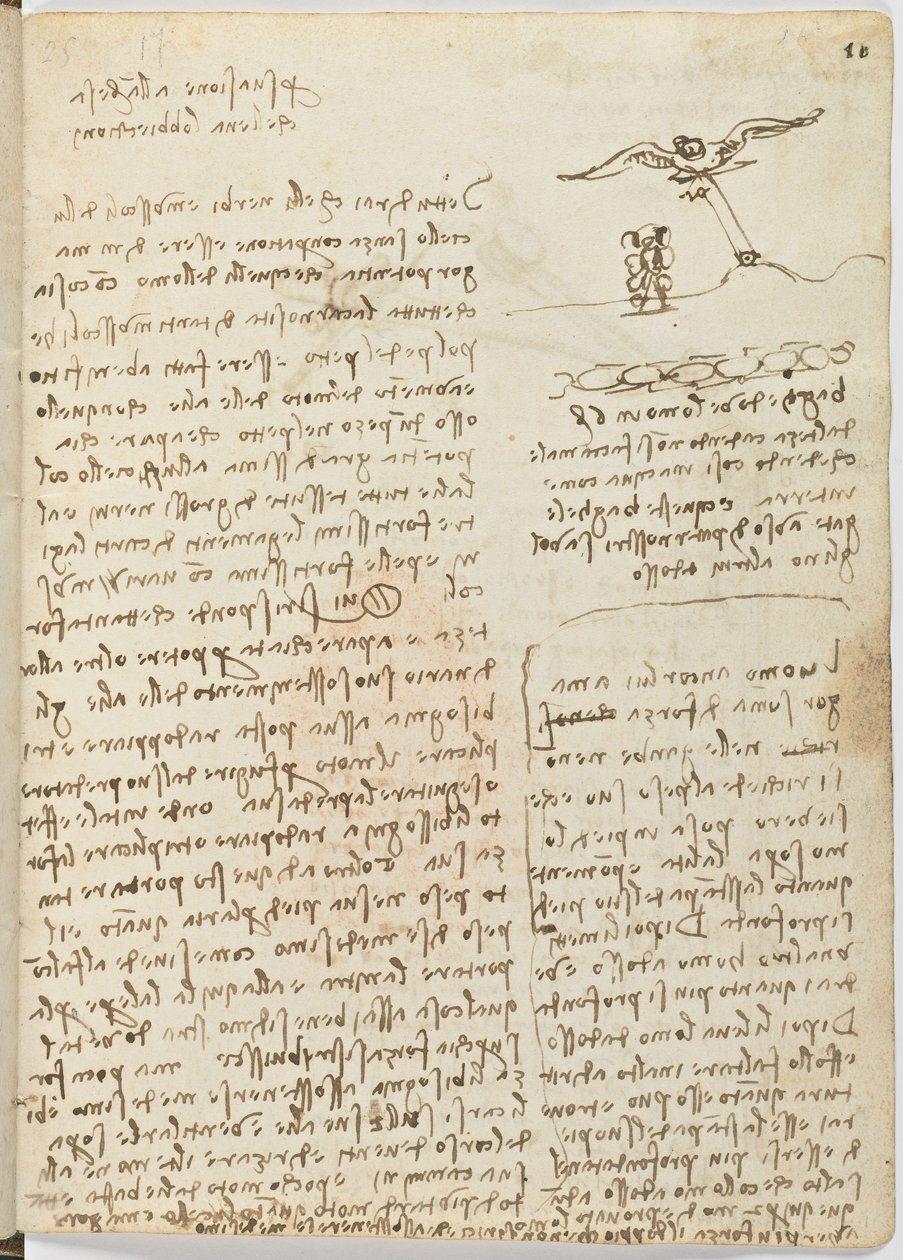 Kodeks lotu ptaków, c. 1505-06, rękopis papierowy, cc. 18, arkusz 16 prostokątny autorstwa Leonardo da Vinci