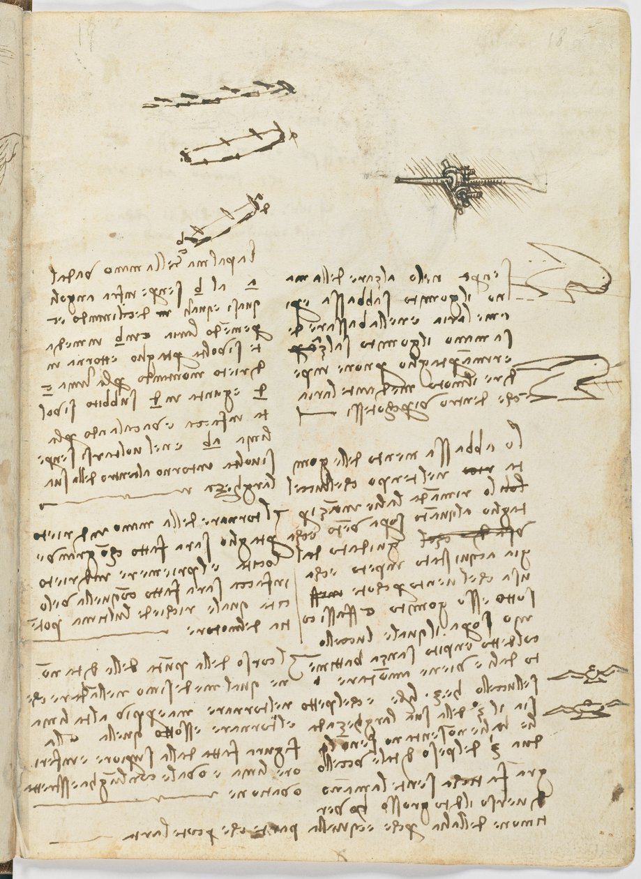 Kodeks lotu ptaków, c. 1505-06, rękopis papierowy, cc. 18, arkusz 18 prostokątny autorstwa Leonardo da Vinci