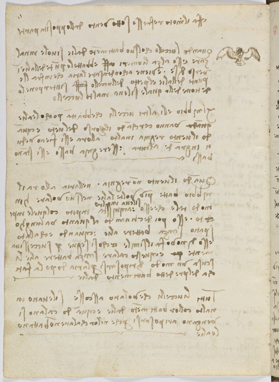 د الوتونکو الوتنې کوډ، ج. 1505-06، د کاغذ نسخه، cc. 18، پاڼه 5 versopoli autorstwa Leonardo da Vinci