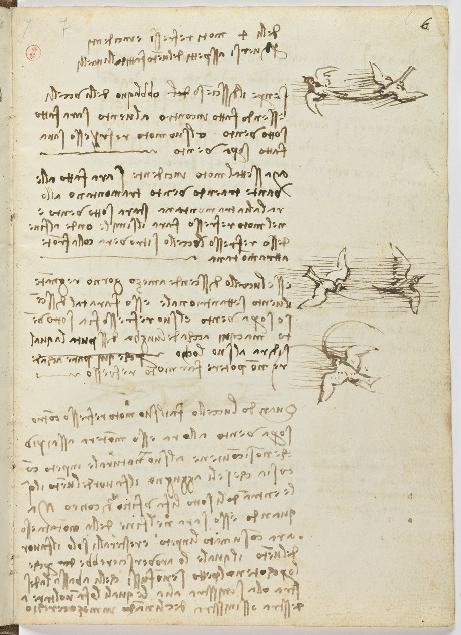 Kodeks lotu ptaków, c. 1505-06, rękopis papierowy, k.p. 18, arkusz 6 prostokątny autorstwa Leonardo da Vinci