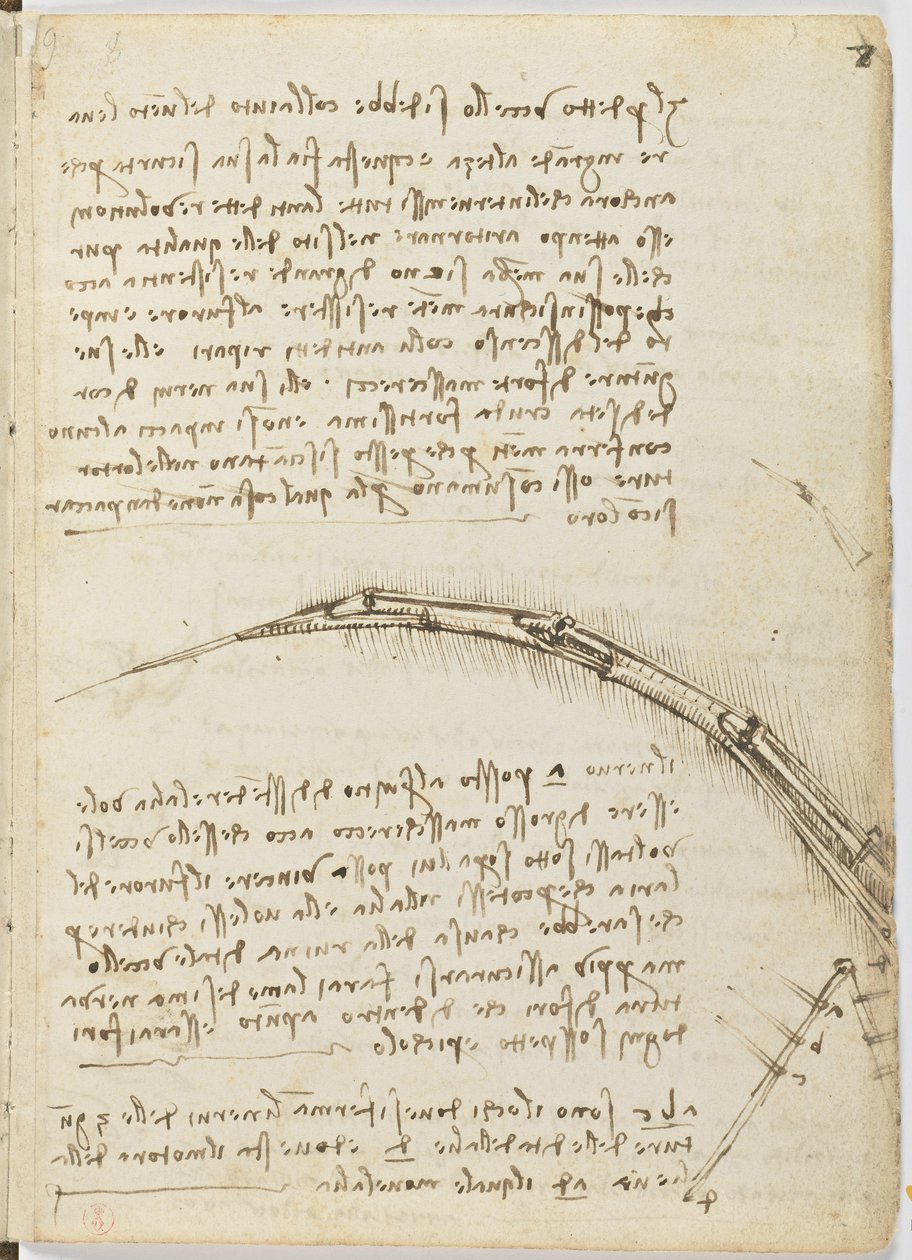 د الوتونکو الوتنې کوډ، ج. 1505-06، د کاغذ نسخه، cc. 18، پاڼه 7 rectopoli autorstwa Leonardo da Vinci