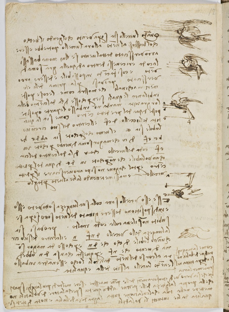 د الوتونکو الوتنې کوډ، ج. 1505-06، د کاغذ نسخه، cc. 18، پاڼه 8 versopoli autorstwa Leonardo da Vinci