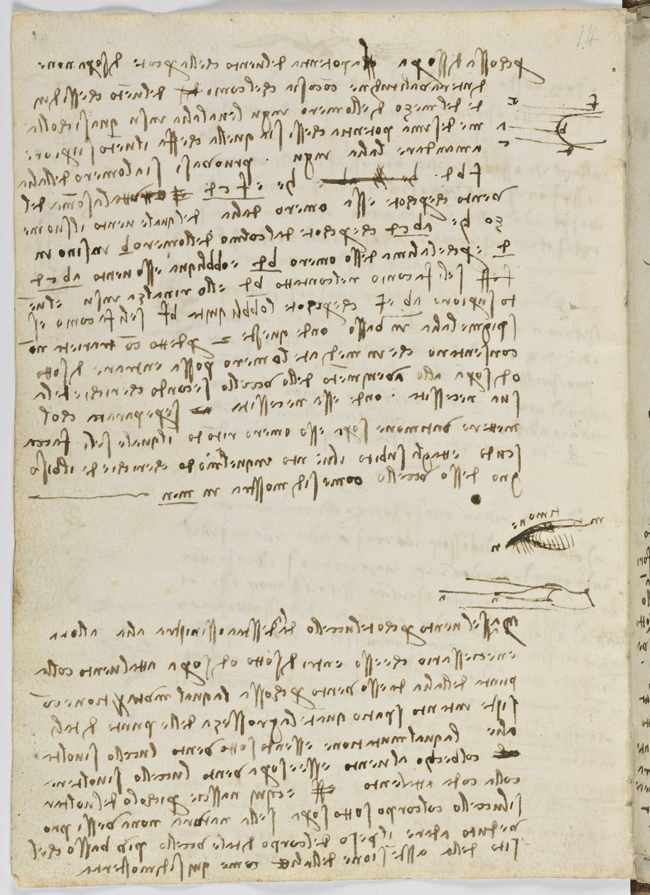 Шувуудын нислэгийн код, c. 1505-06, цаасан гар бичмэл, cc. 18, хуудас 9 эсрэгээр autorstwa Leonardo da Vinci