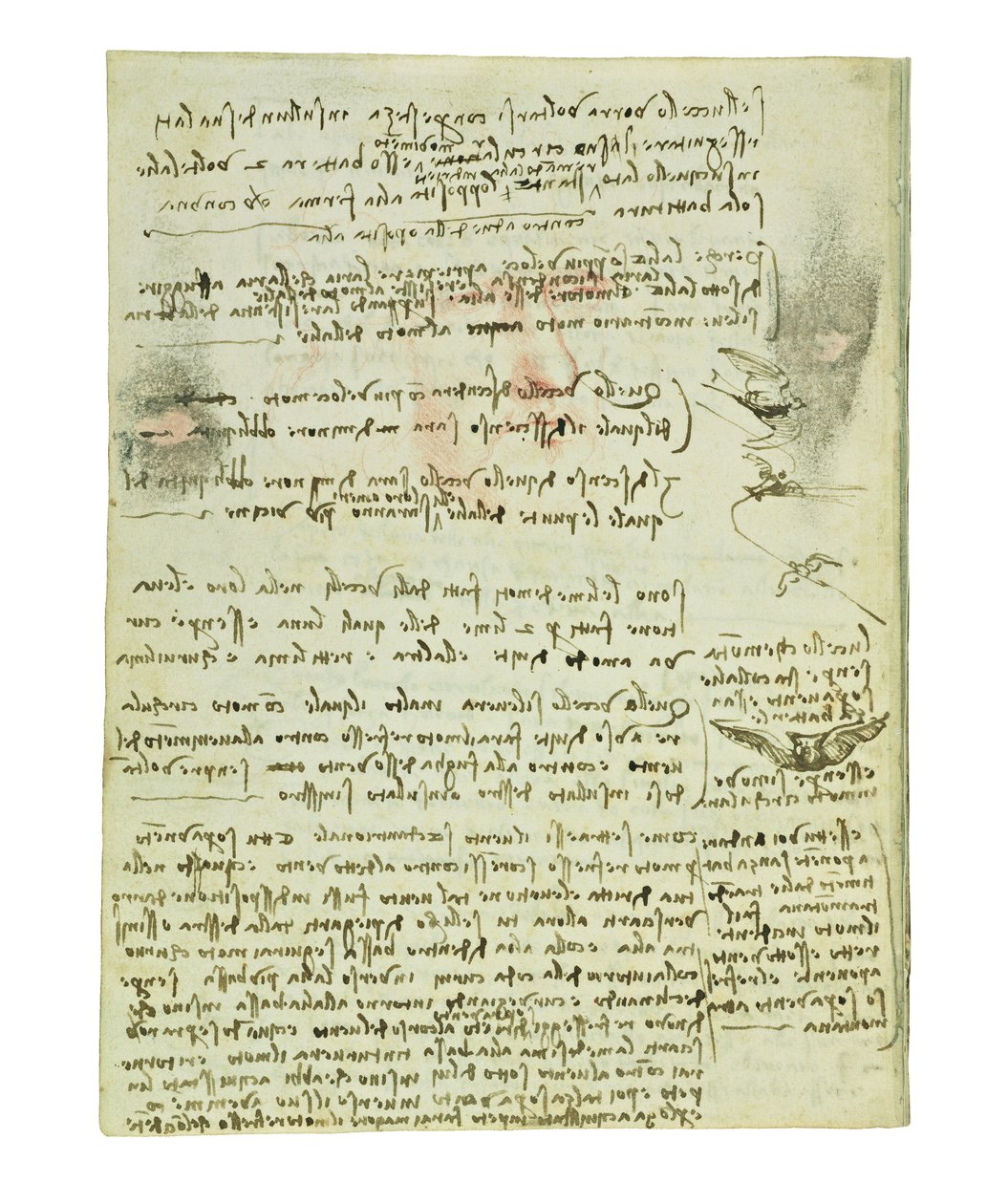 Kodeks lotu ptaków, Folio 10 verso autorstwa Leonardo da Vinci