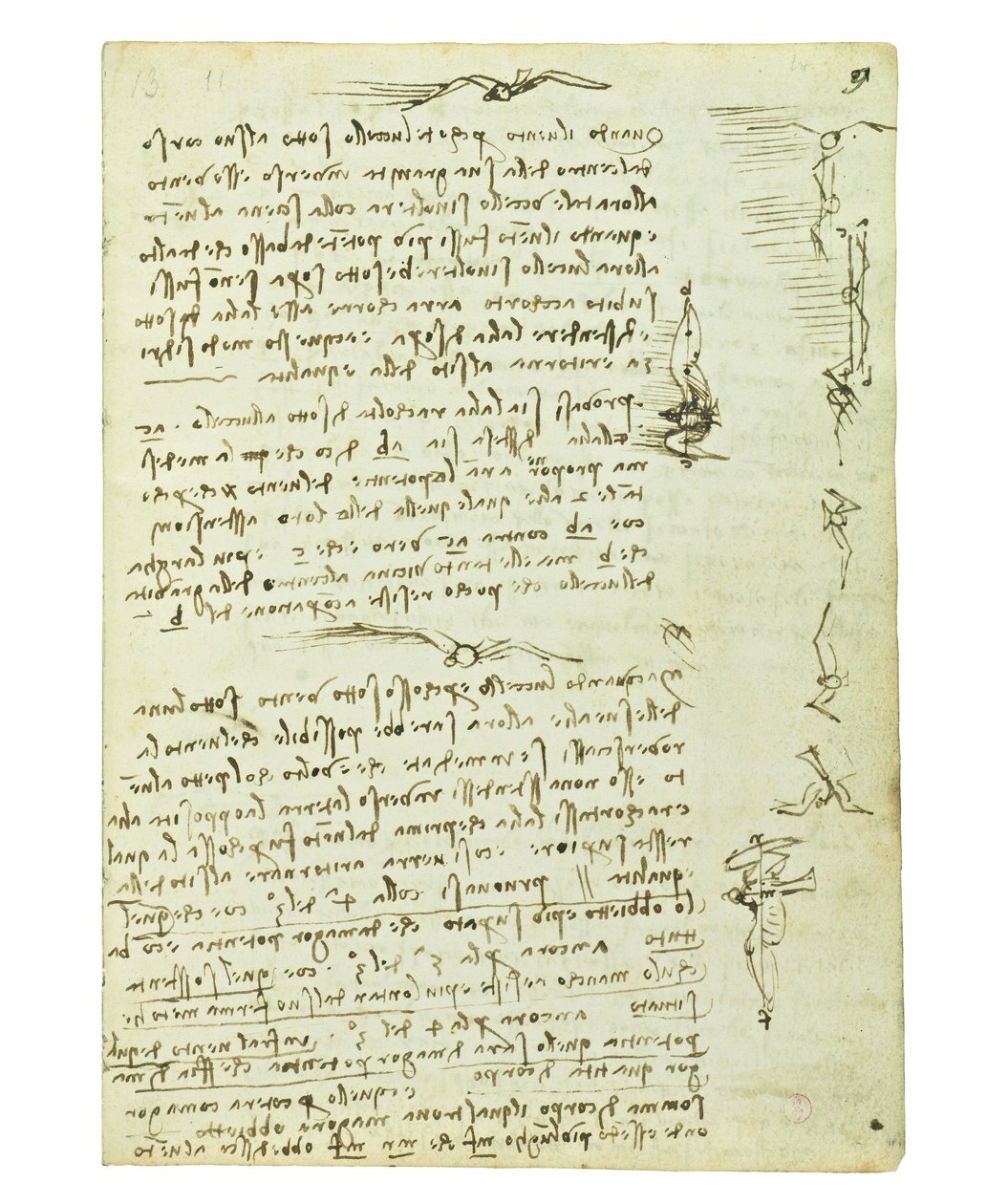 Kodeks lotu ptaków, Folio 9 recto autorstwa Leonardo da Vinci