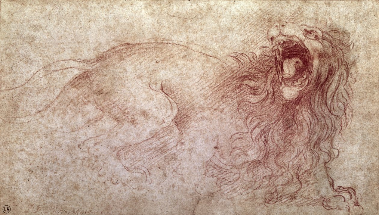 Szkic ryczącego lwa (czerwona kreda na papierze) autorstwa Leonardo da Vinci