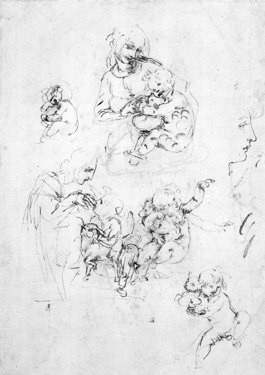 Studia do Madonny z kotem, ok. 1478-80 (pióro i atrament na czarnej kredzie na papierze) autorstwa Leonardo da Vinci