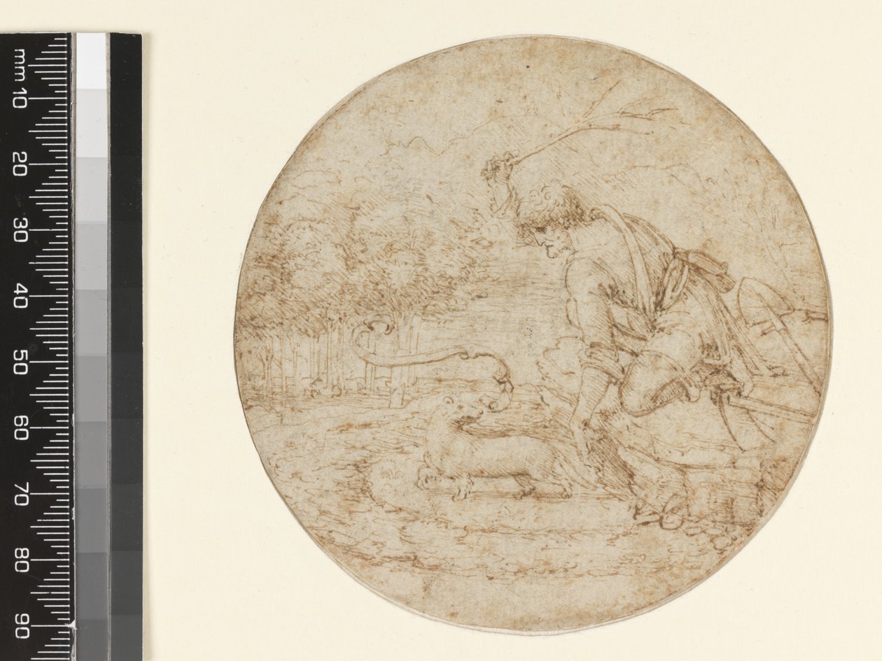 Gronostaj jako symbol czystości, ok. 1494 (pióro i brązowy tusz na czarnym papierze) autorstwa Leonardo da Vinci