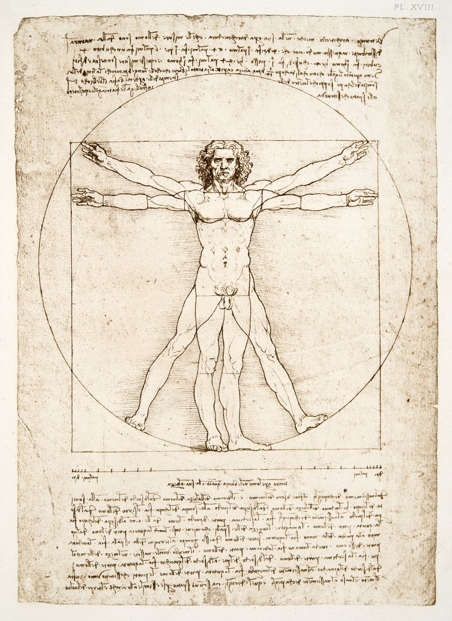 Proporcje postaci ludzkiej (według Witruwiusza), ok.1492 (faksymile) autorstwa Leonardo da Vinci