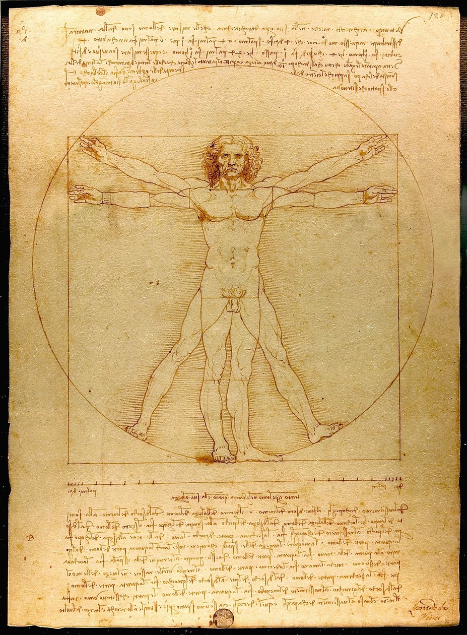 Vitruvius Luc Viatour autorstwa Leonardo da Vinci