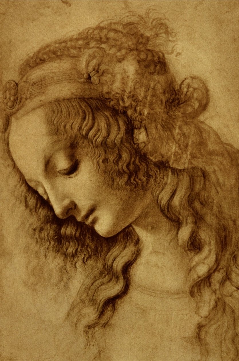 Kobieta w profilu autorstwa Leonardo da Vinci