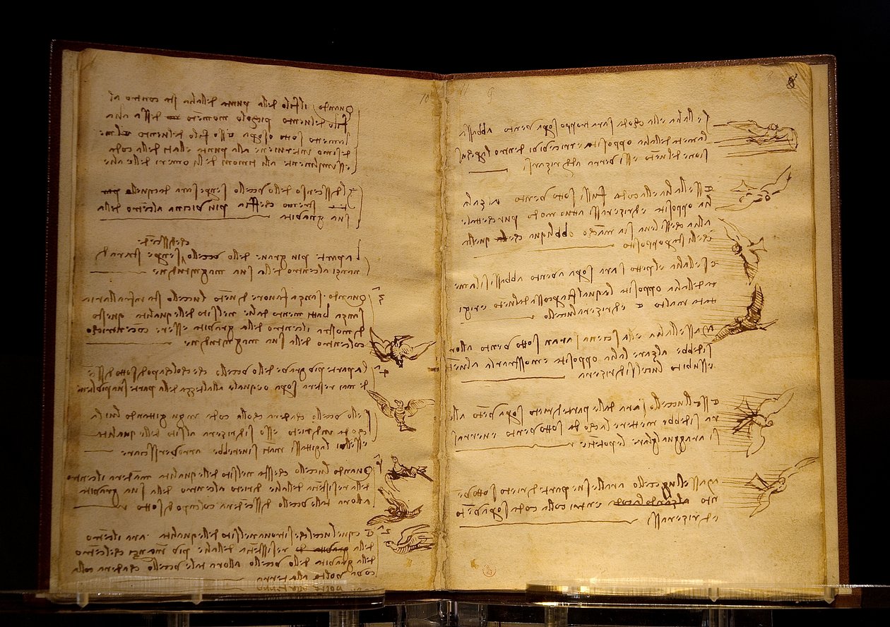 kodeks lotu ptaków Luc Viatour autorstwa Leonardo da Vinci